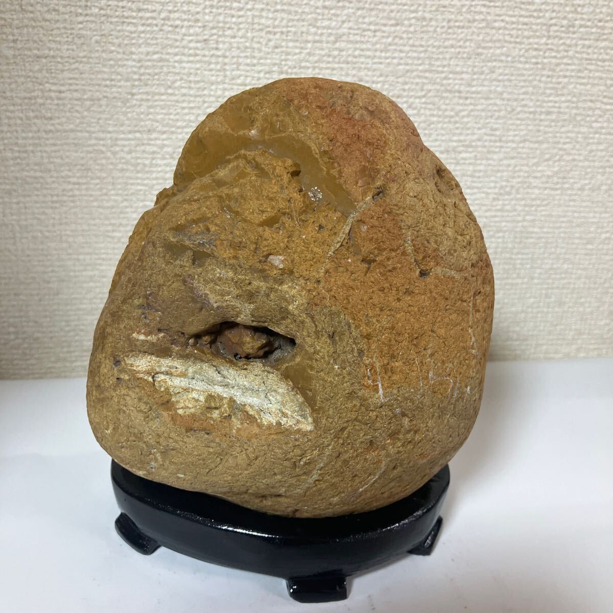 2025年最新】Yahoo!オークション -土岐石の中古品・新品・未使用 2025年最新】Yahoo!オークション -土岐石の中古品・新品・未使用