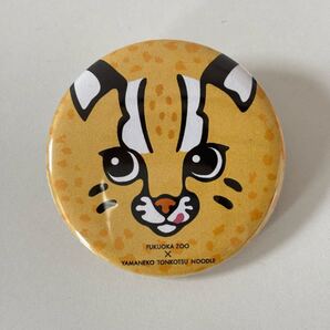 希少★非売品★未使用 ツシマヤマネコ 福岡市動物園 ヤマネコラーメン 缶バッジ 藤原製麺 野生動物 絶滅危惧種