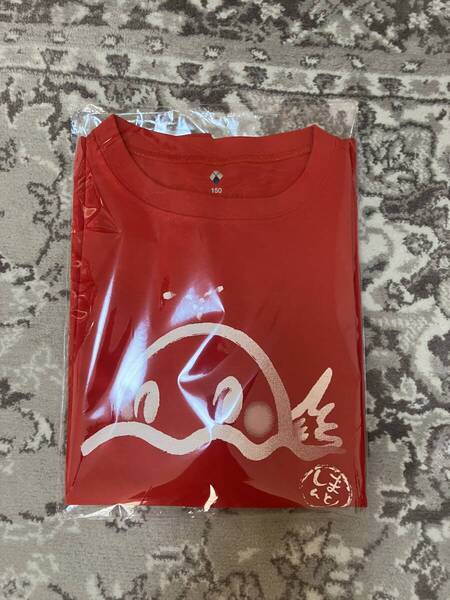 ウィックロンTシャツmont-bell150