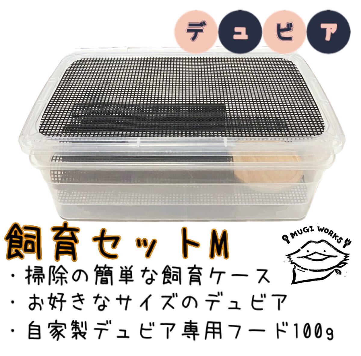 デュビア飼育用の衣装ケースは二重が基本？それぞれの使用感を