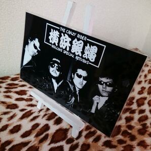 横浜銀蝿 ラミネート。