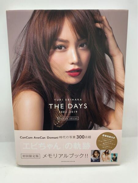 初版★限定版 蛯原友里 写真集 YURI EBIHARA THE DAYS 2002-2019 Premium edition/蛯原友里 18