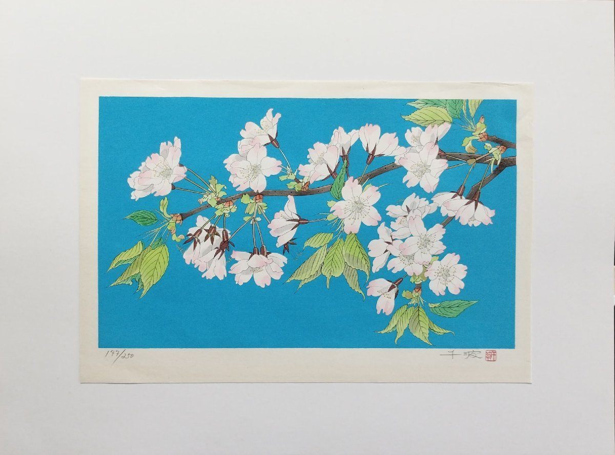 2025年最新】Yahoo!オークション -中島千波 桜の中古品・新品 2025年最新】Yahoo!オークション -中島千波 桜の中古品・新品