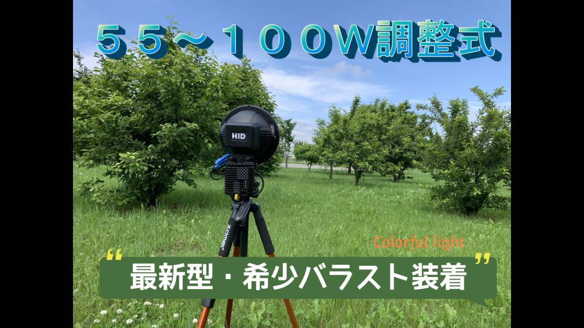 Yahoo!オークション -「hidライトトラップ」の落札相場・落札価格 Yahoo!オークション -「hidライトトラップ」の落札相場・落札価格