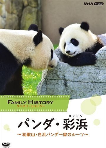 2025年最新】Yahoo!オークション -彩浜の中古品・新品・未使用品一覧