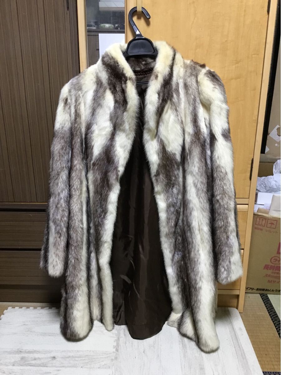 Yahoo!オークション -「american awards fur」の落札相場・落札価格 Yahoo!オークション -「american awards fur」の落札相場・落札価格
