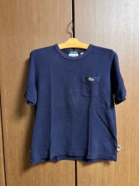 ラコステ 鹿子 Tシャツ ネイビー FR2 US XS