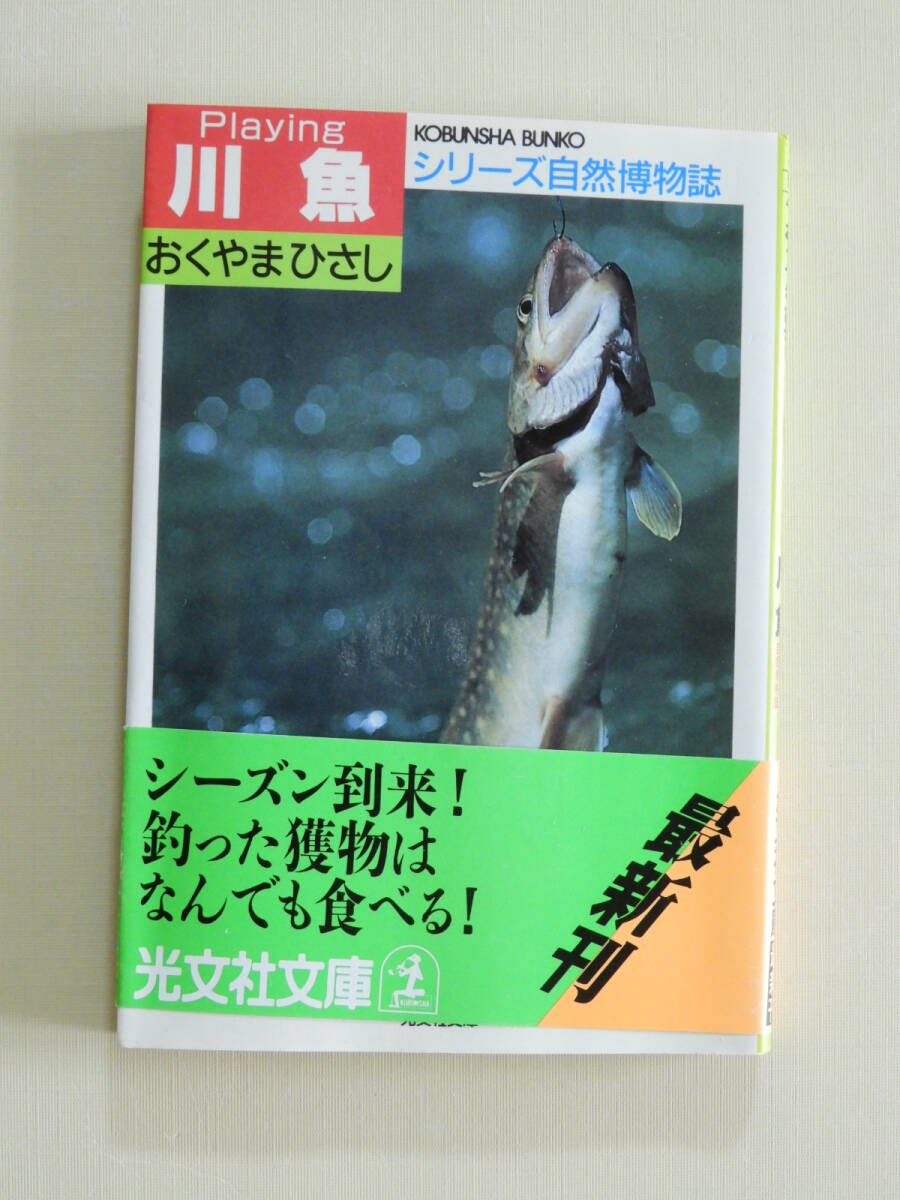 2025年最新】Yahoo!オークション -日本淡水魚の中古品・新品・未 2025年最新】Yahoo!オークション -日本淡水魚の中古品・新品・未