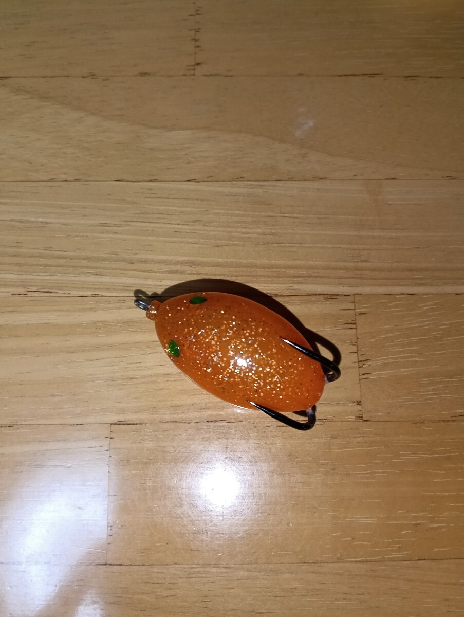 雷魚 ブック&DVDセット なまず 新家邦紹 高井主馬 ラッティ
