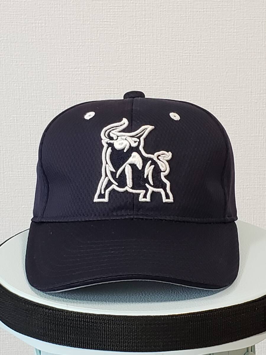 Yahoo!オークション -「カブレラ」(野球) (スポーツ別)の落札 Yahoo!オークション -「カブレラ」(野球) (スポーツ別)の落札
