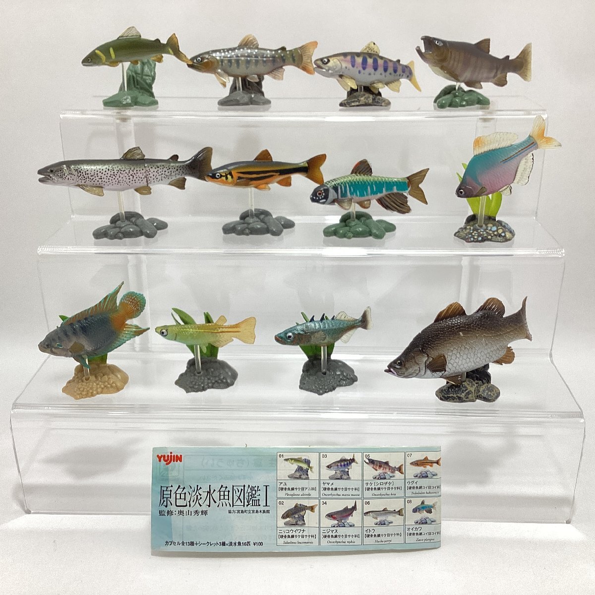 ユージン 原色図鑑シリーズ 原色淡水魚図鑑I（改訂版