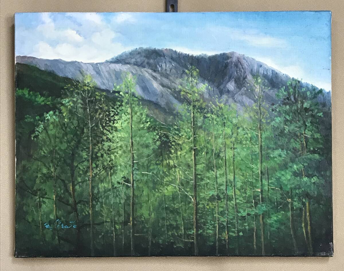 油絵 山 Yahoo!オークション -「油絵 山」(美術品) の落札相場・落札価格