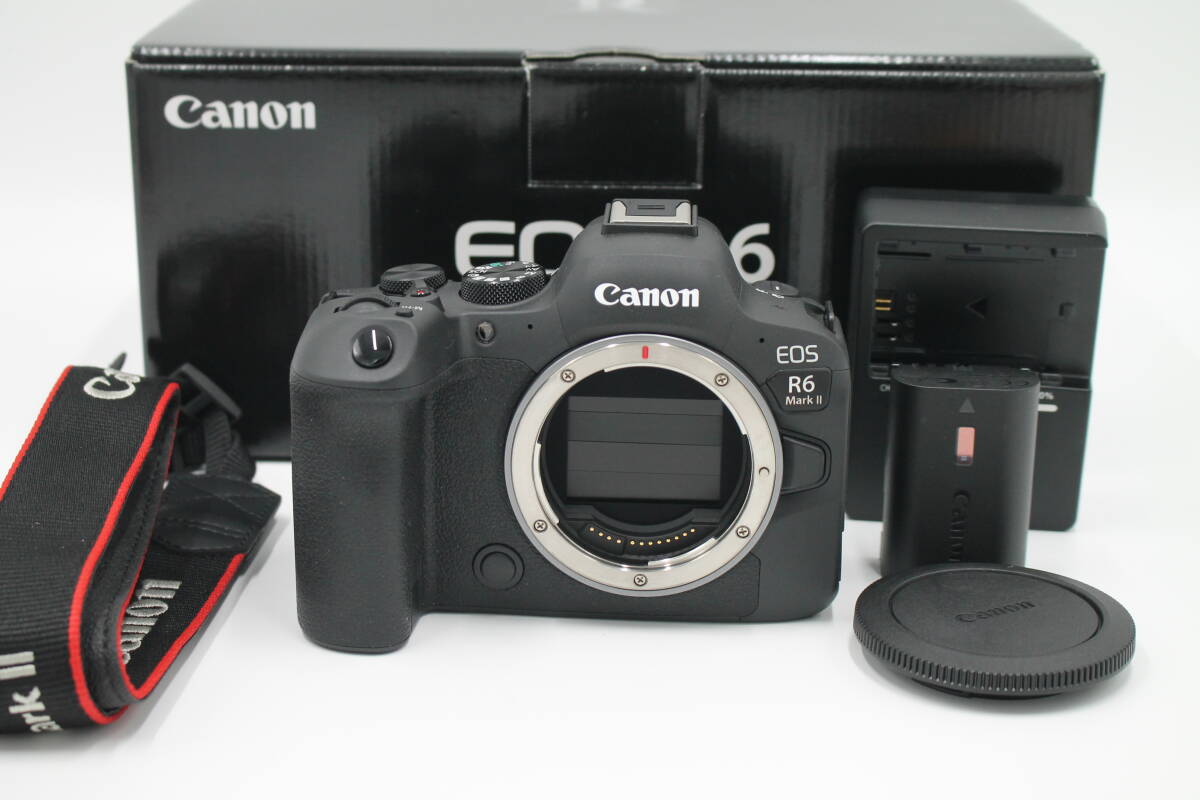 2025年最新】Yahoo!オークション -eos r6 ボディの中古品・新品 2025年最新】Yahoo!オークション -eos r6 ボディの中古品・新品