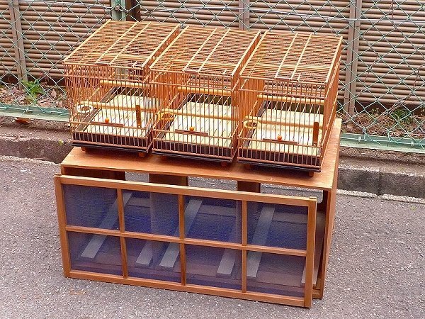 Yahoo!オークション -「メジロ 籠」(鳥) (ペット用品)の落札相場 Yahoo!オークション -「メジロ 籠」(鳥) (ペット用品)の落札相場