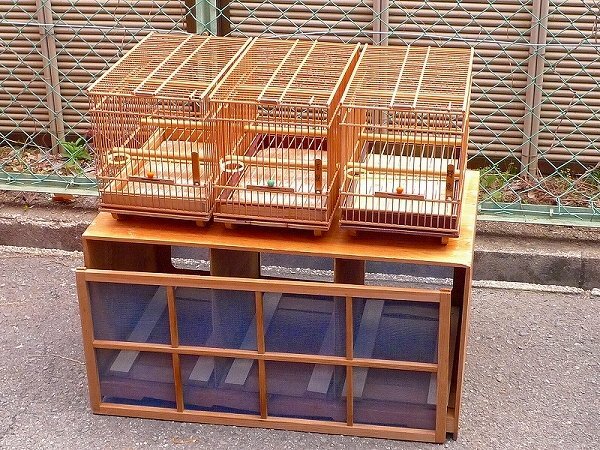 2025年最新】メジロ用の鳥かごを豊富なラインナップでご紹介 2025年最新】メジロ用の鳥かごを豊富なラインナップでご紹介