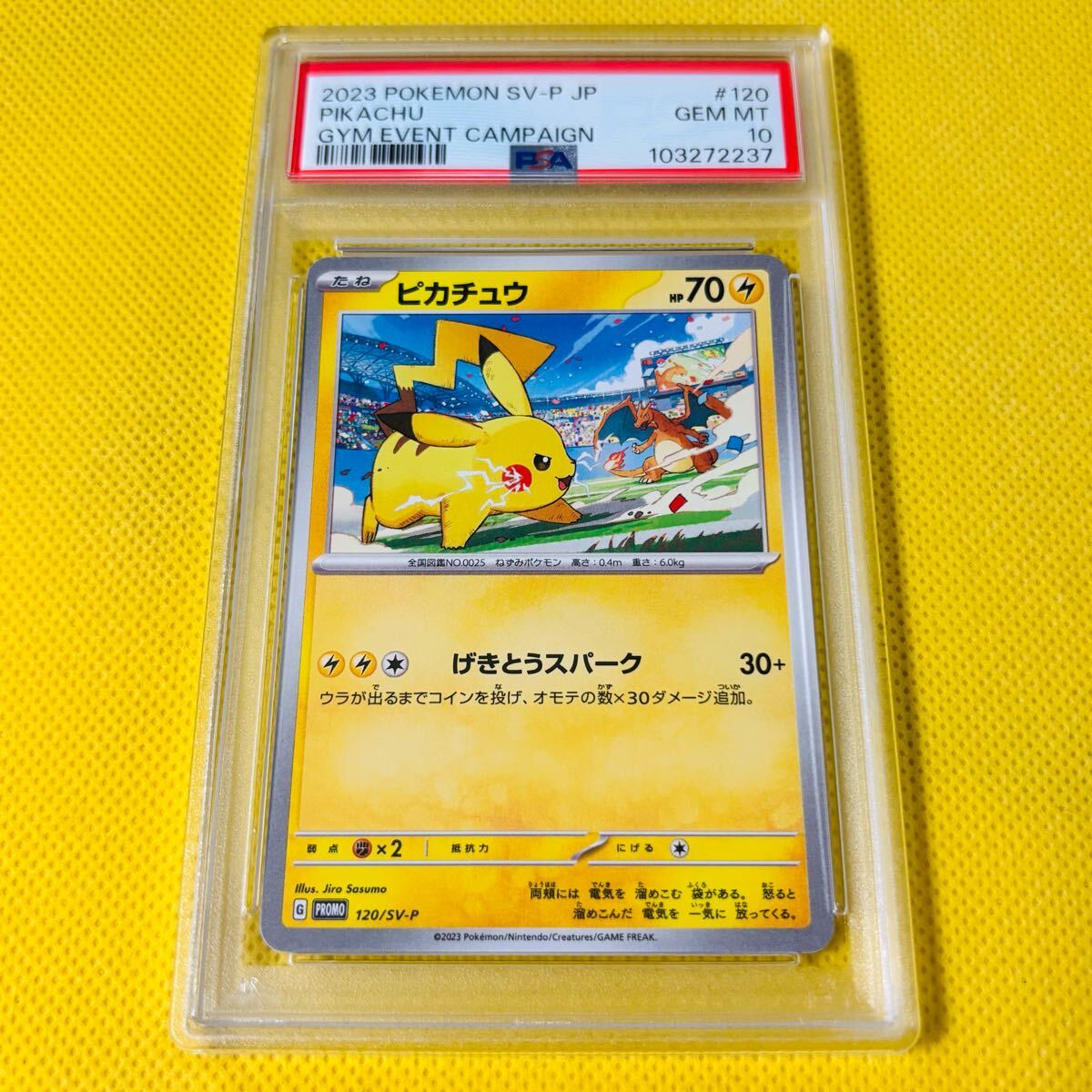 2025年最新】Yahoo!オークション -ポケモンカード リザードン 2025年最新】Yahoo!オークション -ポケモンカード リザードン