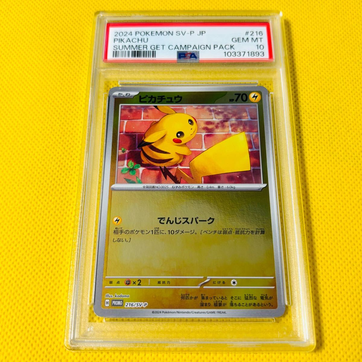 2025年最新】Yahoo!オークション -ポケモンカード ピカチュウ 夏 2025年最新】Yahoo!オークション -ポケモンカード ピカチュウ 夏