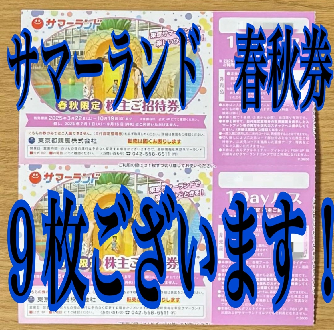 2025年最新】Yahoo!オークション -東京サマーランド 株主優待 2025年最新】Yahoo!オークション -東京サマーランド 株主優待