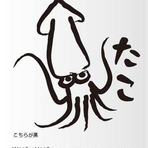 釣りステッカー 「たこじゃない!」おもしろ系