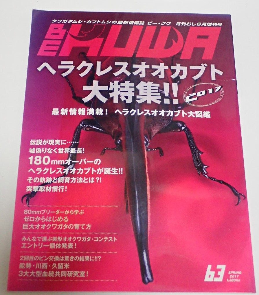 2025年最新】Yahoo!オークション -be-kuwaの中古品・新品・未 2025年最新】Yahoo!オークション -be-kuwaの中古品・新品・未
