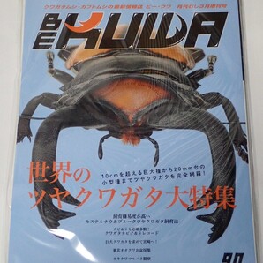 BE KUWA ビークワ No.90■世界のツヤクワガタ大特集|巨大種から小型種まで完全網羅/カステルナウ&ブルーク飼育法/オキナワマルバネ観察