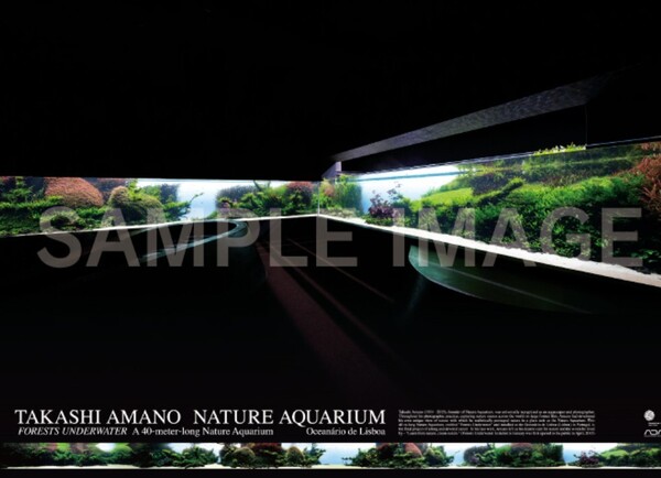【非売品】ADA アクアジャーナル 251号 初回特典 大判サイズ(841×594)リスボン海洋水族館40m水景ポスター