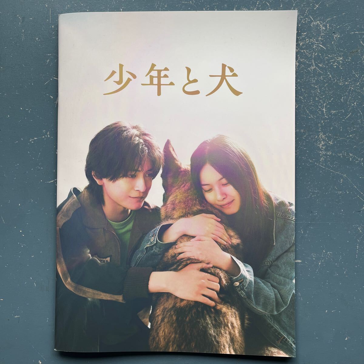 伊藤健太郎 グッズ - メルカリ