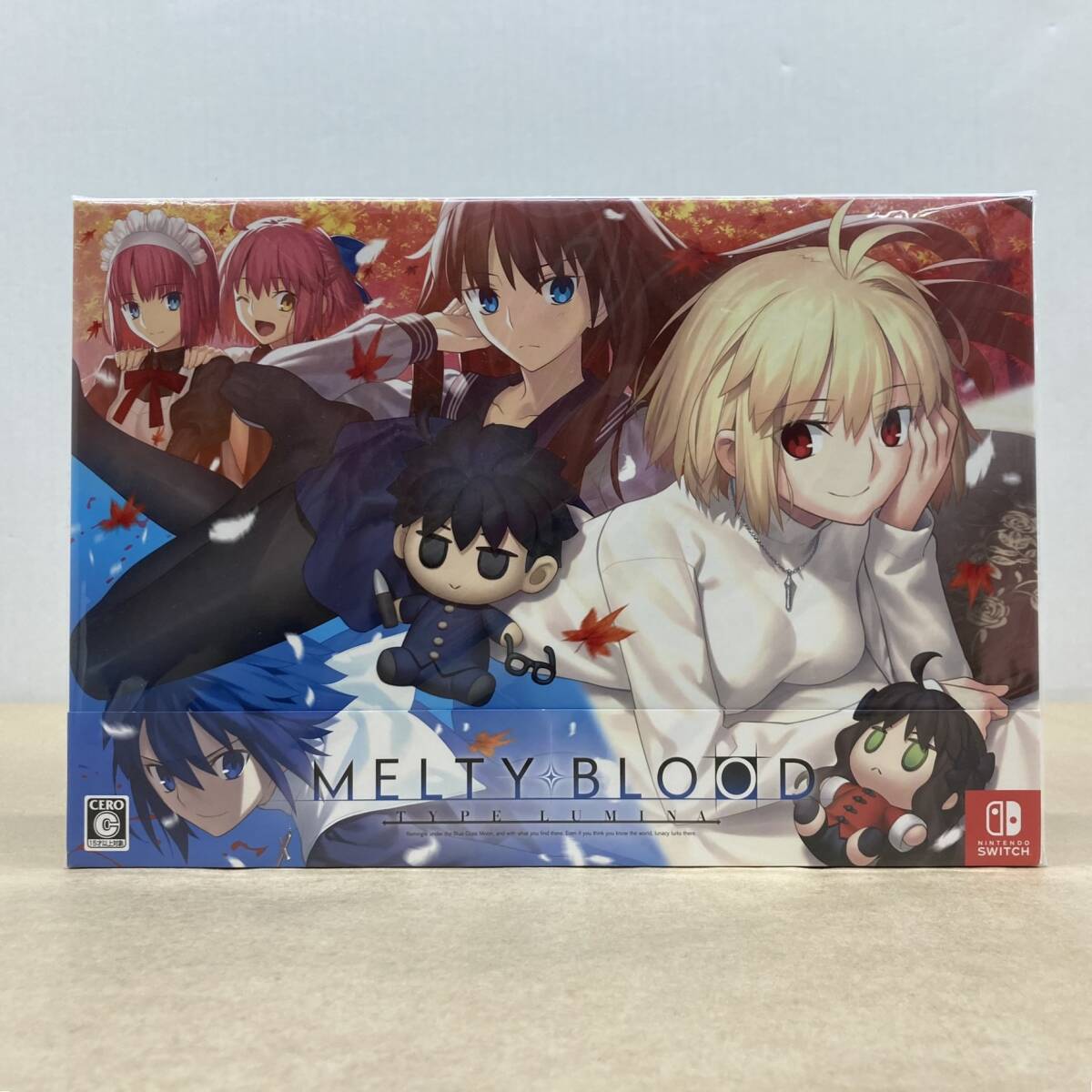 delightworks-melty-blood-type-