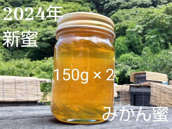 【非加熱、純粋はちみつ】希少蜂蜜 みかん蜜150g×2本