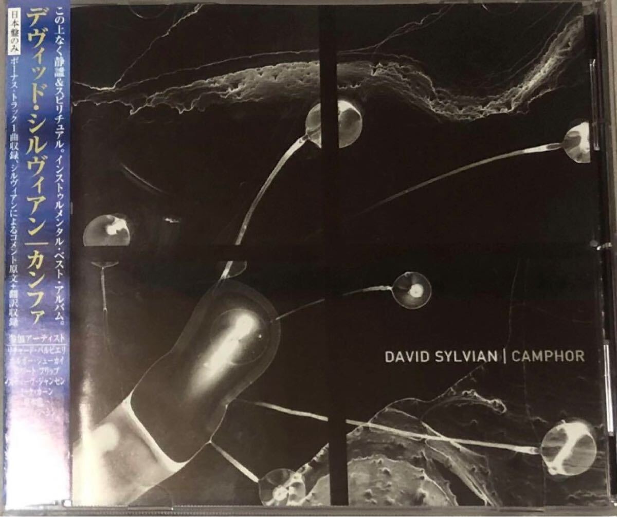 いくつかの家に射し込む光／David Sylvianの声について