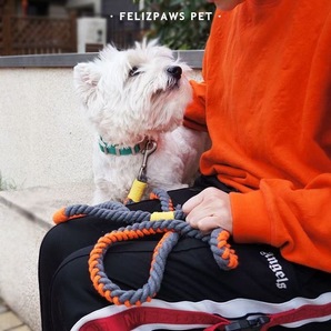 Picky Orange 犬リード 大型犬リード 中型犬リード オシャレリード