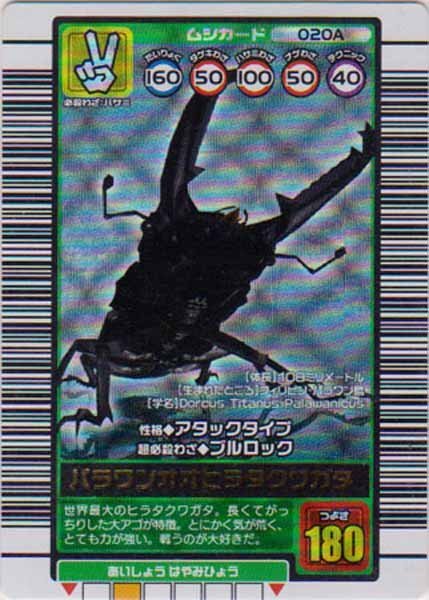 2025年最新】Yahoo!オークション -ムシキング パラワンオオ
