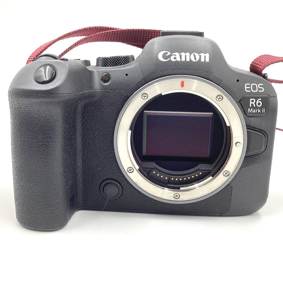 2025年最新】Yahoo!オークション -eos r6 mark ii ボディの中古 2025年最新】Yahoo!オークション -eos r6 mark ii ボディの中古
