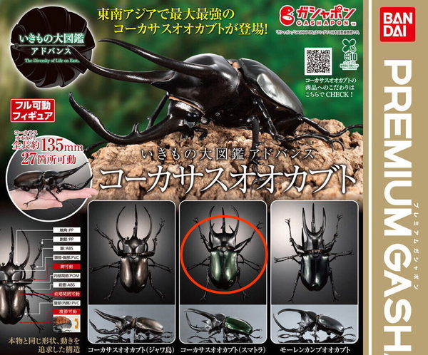 バンダイ☆いきもの大図鑑アドバンス コーカサスオオカブト スマトラ ガシャポン ガチャ 匿名配送