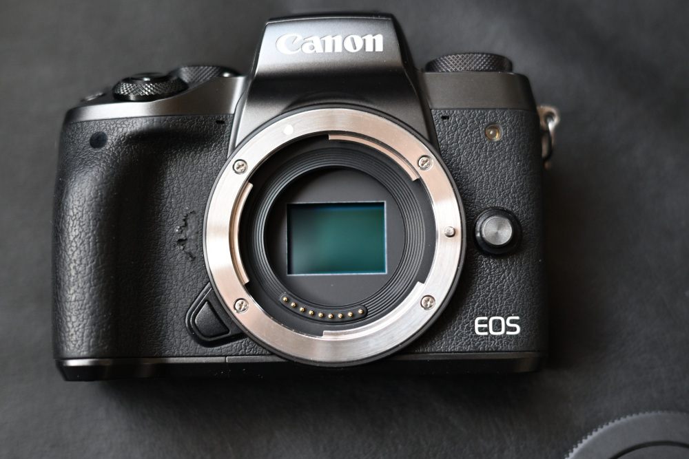 2025年最新】Yahoo!オークション -eos-m5の中古品・新品・未使用 2025年最新】Yahoo!オークション -eos-m5の中古品・新品・未使用