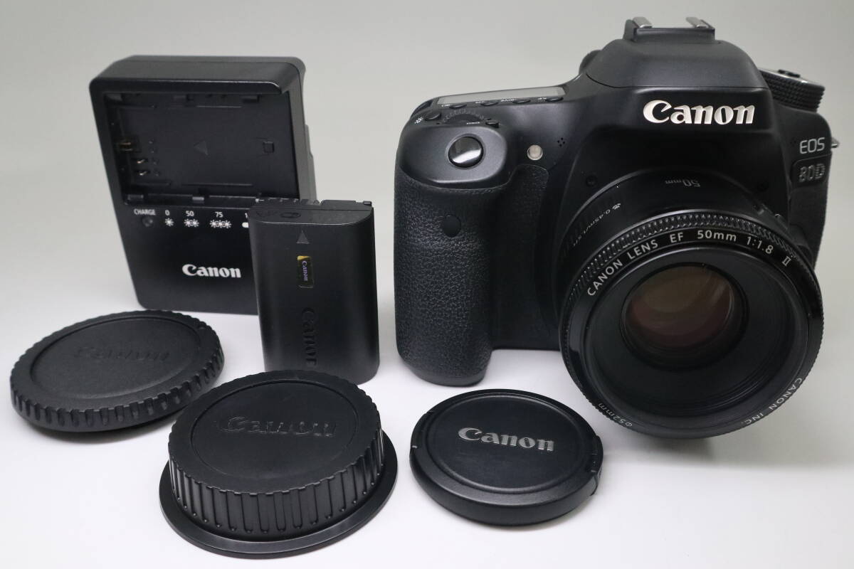 2025年最新】Yahoo!オークション -canon 80dの中古品・新品・未 2025年最新】Yahoo!オークション -canon 80dの中古品・新品・未