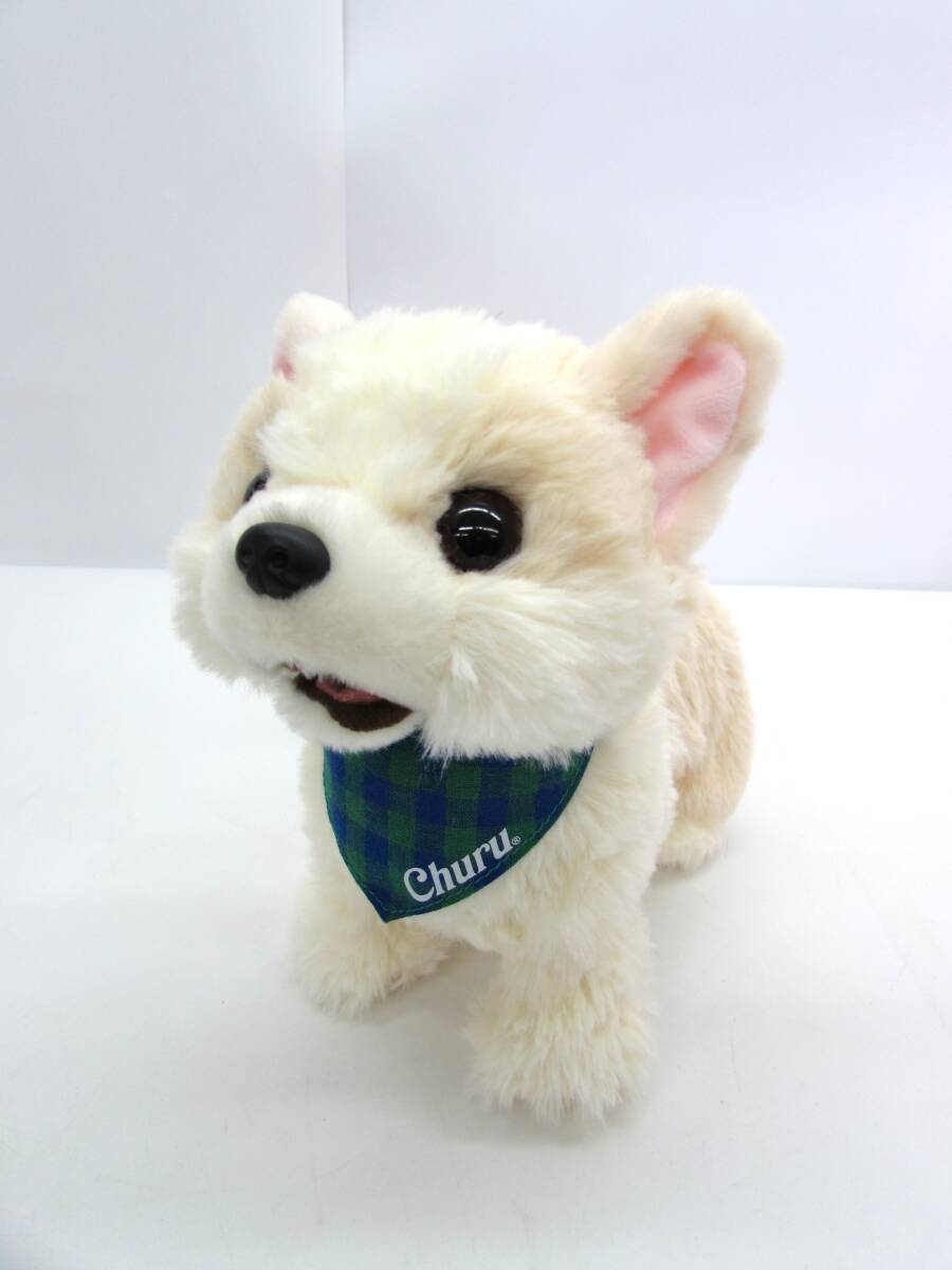2025年最新】Yahoo!オークション -イワヤ(動物)の中古品・新品 2025年最新】Yahoo!オークション -イワヤ(動物)の中古品・新品