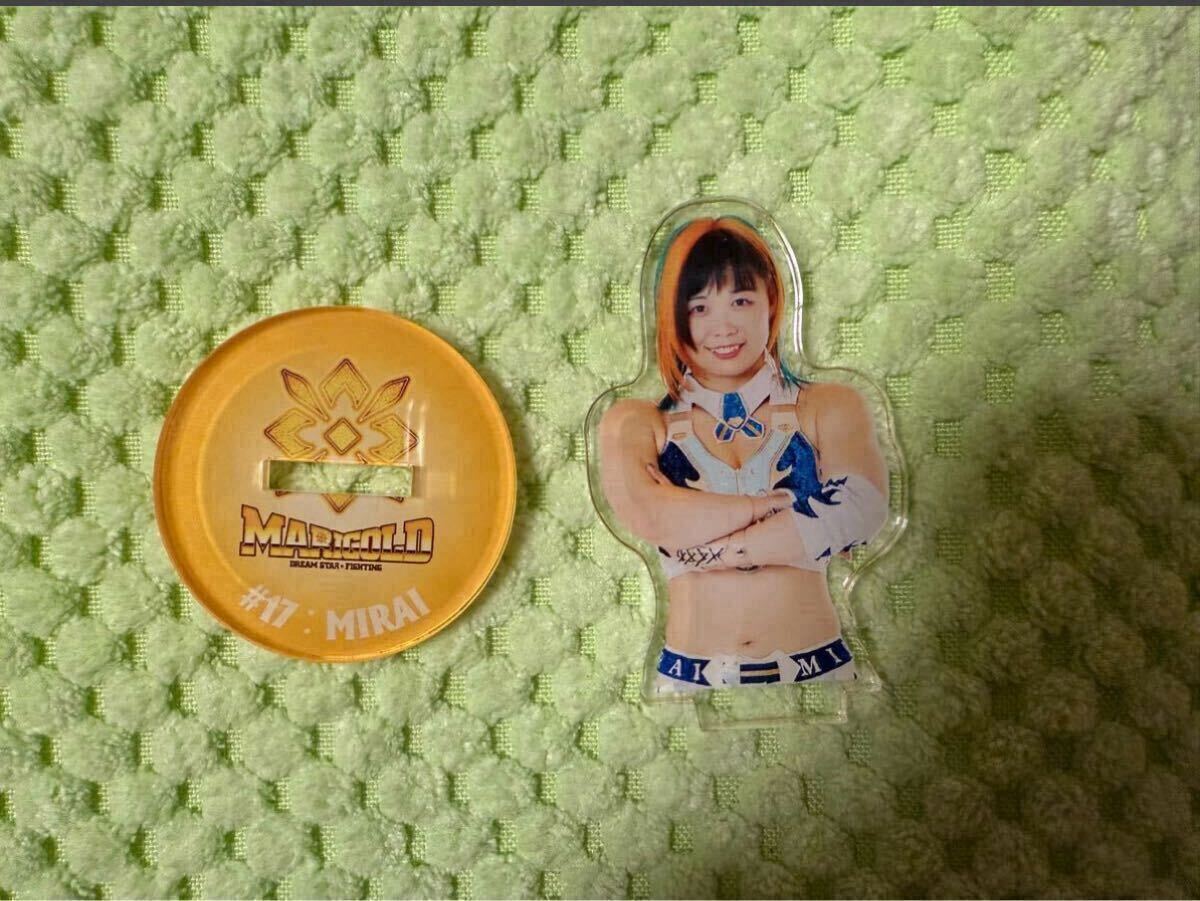 2025年最新】Yahoo!オークション -スターダム写真集の中古品 2025年最新】Yahoo!オークション -スターダム写真集の中古品