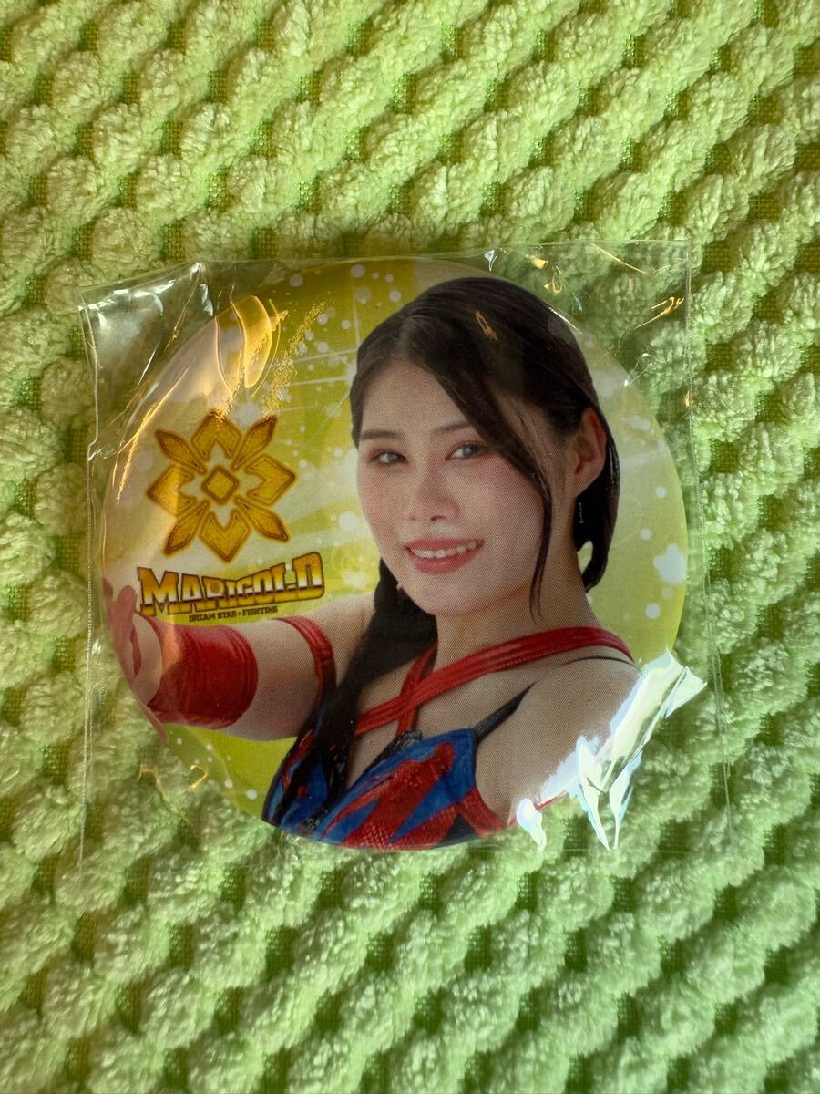 2025年最新】Yahoo!オークション -スターダム写真集の中古品 2025年最新】Yahoo!オークション -スターダム写真集の中古品