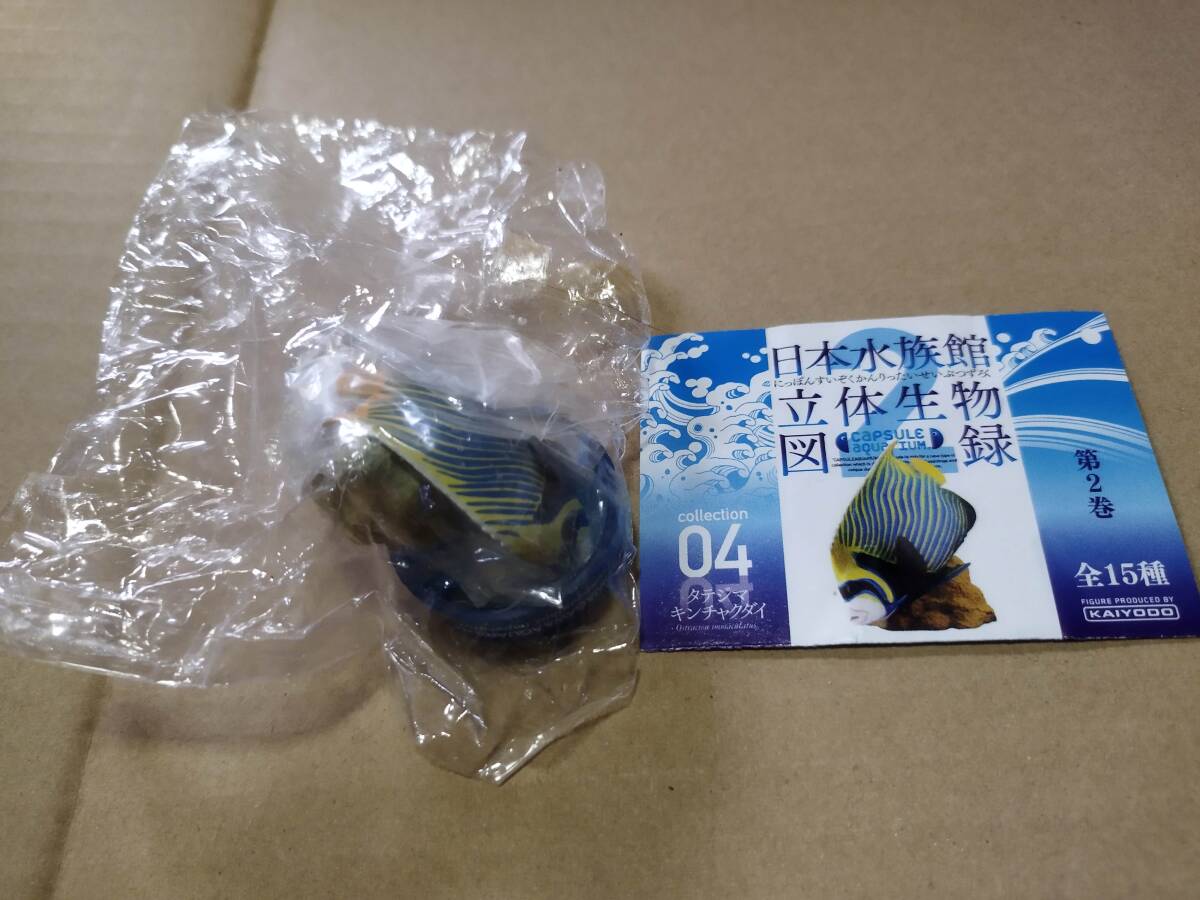 2025年最新】Yahoo!オークション -鳥羽水族館の中古品・新品・未 2025年最新】Yahoo!オークション -鳥羽水族館の中古品・新品・未