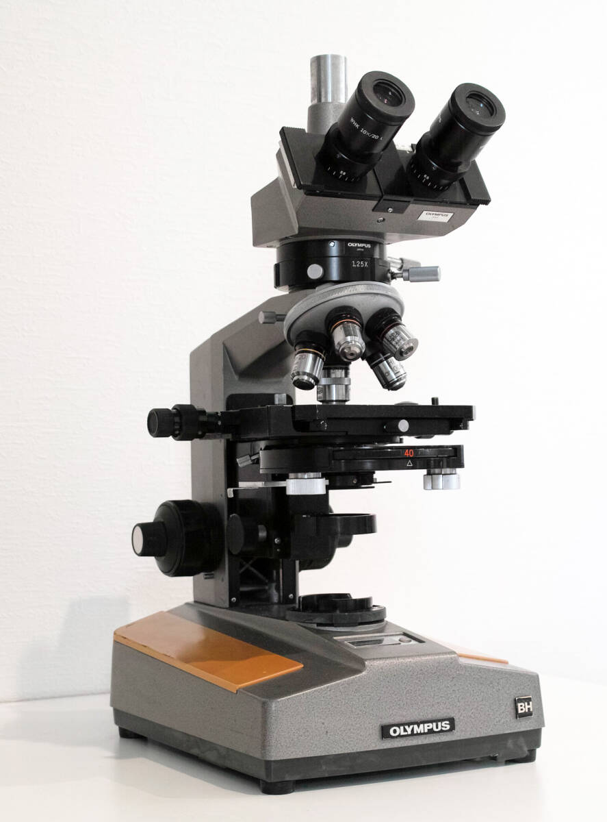 2025年最新】Yahoo!オークション -olympus microscopeの中古品 2025年最新】Yahoo!オークション -olympus microscopeの中古品