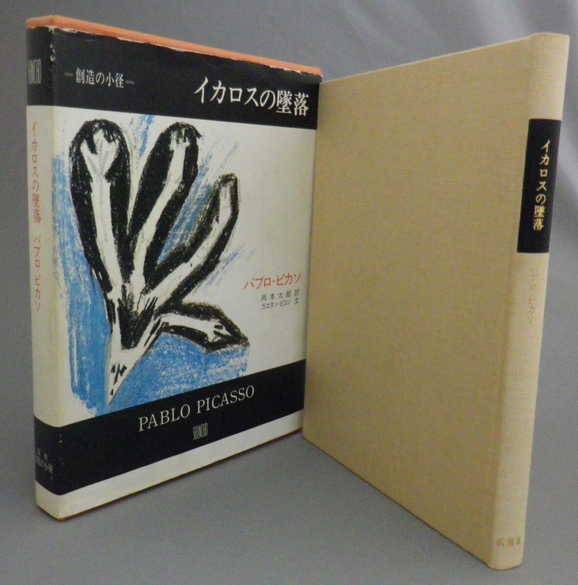 2025年最新】Yahoo!オークション -絵画ピカソ(本、雑誌)の中古品