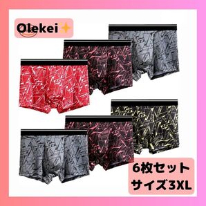 Olekei ボクサーパンツ メンズ 下着 前閉じ 吸水速乾 通気 ボクサー 6枚セット
