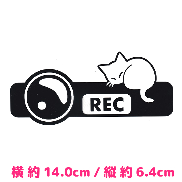 カッティングステッカー 《 ドラレコと丸まるネコ 》 ブラック色 光沢あり かわいい ねこ 猫 キャット にゃんこ おしゃれ