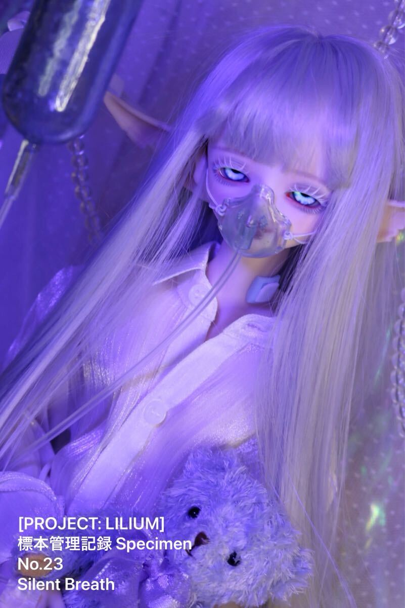 2025年最新】Yahoo!オークション -imomodoll ヘッドの中古品 2025年最新】Yahoo!オークション -imomodoll ヘッドの中古品