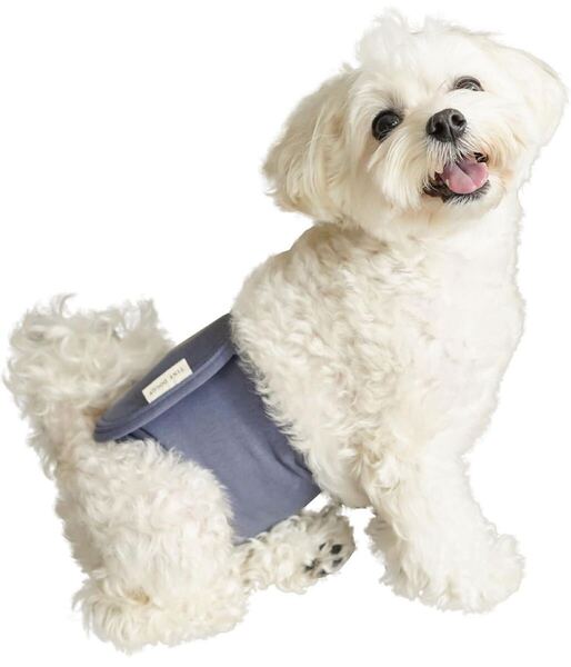 704a2533☆ いぬのくらし マナーベルト 犬 男の子 マーキング防止 お漏らし対策 伸縮性 ストレッチ マーキング 犬用 (ブルーグレー, XS)