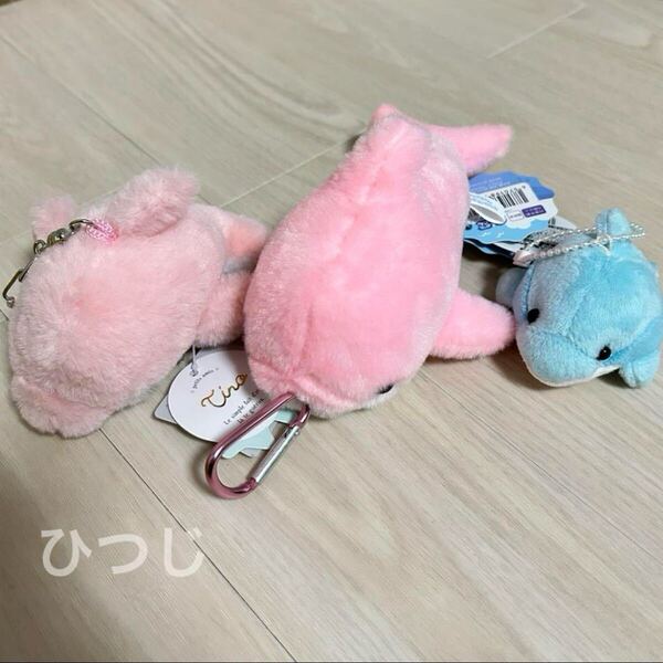 ぷきゅ & ぶるぶる ! ふわふわイルカ petit amis Tino 人気の海の動物 ぬいぐるみ マスコットBC Ⅲ