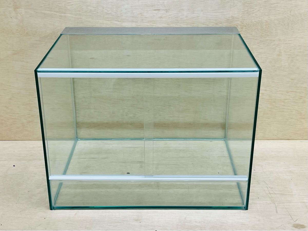 2025年最新】Yahoo!オークション - 45cm～(水槽 魚、水草)の中古