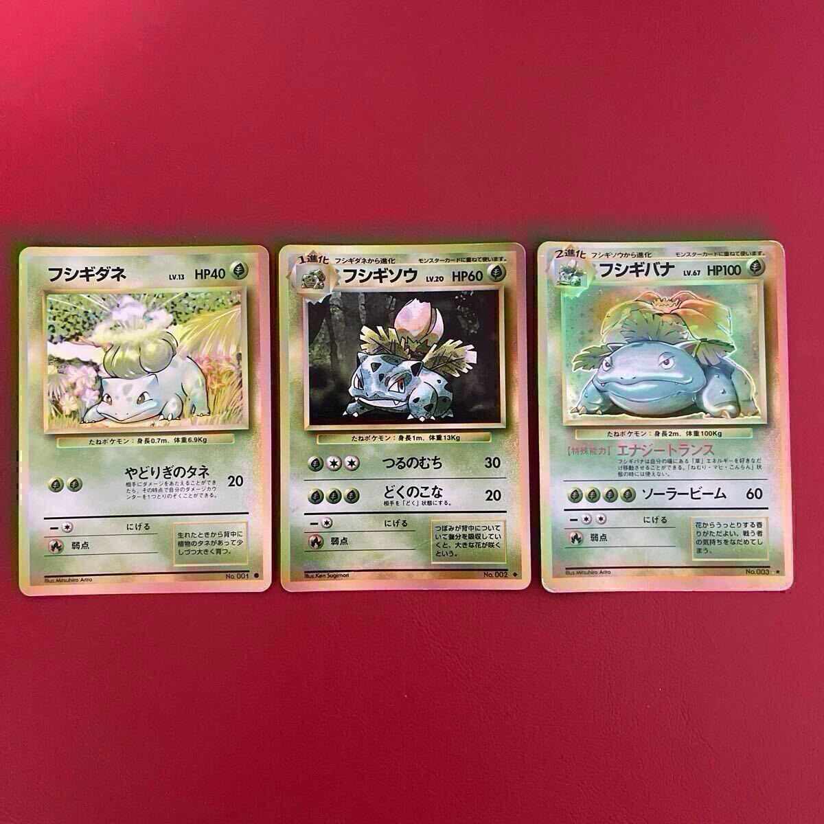2025年最新】Yahoo!オークション -ポケモンカード 旧裏面 2025年最新】Yahoo!オークション -ポケモンカード 旧裏面