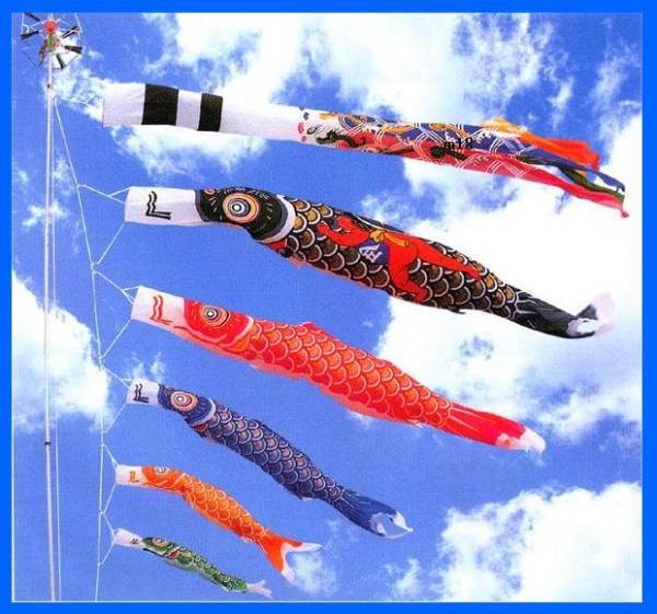 鯉のぼり 未使用品 黒6m 赤5m